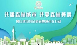 佛山新闻爆料有用吗,助力城市治理，共建和谐家园