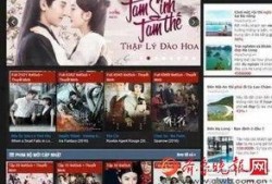 越南电视在线观看,畅享东南亚风情