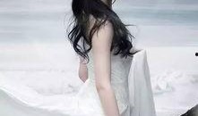 刘亦菲圈内老斯基爆料,老斯基爆料背后的故事