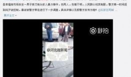 石家庄新闻网爆料,揭秘背后惊人真相