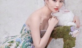 刘亦菲圈内老斯基爆料,老斯基爆料背后的故事