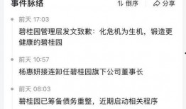 碧桂园官方爆料最新消息,揭秘全新项目亮点与未来规划