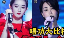 圈内扒叔爆料刘亦菲是哪一期,圈内扒叔独家爆料幕后真相