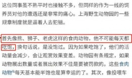爆料明胶事件视频播放网站,视频播放网站背后的真相曝光