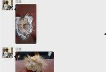 6.27爆料新闻,揭秘重大新闻背后的真相与影响