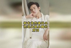 内地娱乐圈爆料王凯,内地娱乐圈爆料王，揭秘娱乐圈幕后故事