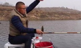 大杨哥钓鱼爆料视频,独家爆料带你领略垂钓乐趣