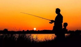 娱乐吃瓜君钓鱼,揭秘娱乐圈背后的秘密与八卦