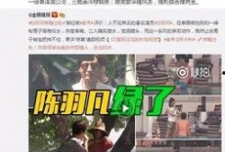 子臣被爆料出轨视频,一段婚姻的裂痕与反思