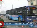 公交员工最新爆料新闻,最新公交行业内幕曝光