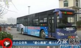 公交员工最新爆料新闻,最新公交行业内幕曝光