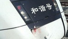 厦门动车事件最新爆料