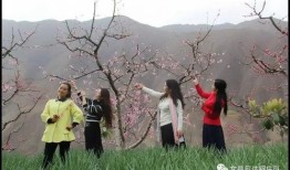 十里春风在线观看,浪漫邂逅，在线观看，共赴心灵之旅