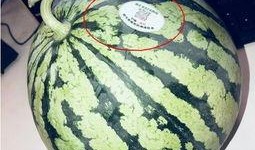 吃瓜西安网红,西安网红吃瓜风云录