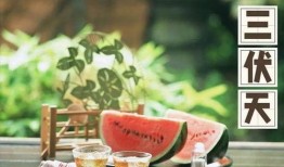 娱乐吃瓜健康养生小说,娱乐、吃瓜与身心健康的小说之旅