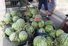 延安网红吃瓜事件,揭秘网络舆论背后的真相与反思