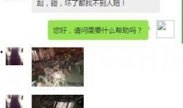 石家庄新闻网爆料,揭秘背后惊人真相
