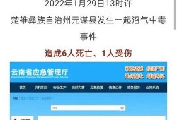 彭州网友爆料新闻视频,惊险一幕！视频揭露惊人真相