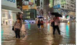 深圳新暴雨爆料视频最新,最新爆料视频揭示城市抗洪瞬间