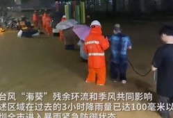 深圳新暴雨爆料视频最新,最新爆料视频揭示城市抗洪瞬间