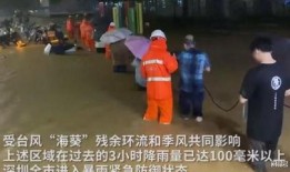 深圳新暴雨爆料视频最新,最新爆料视频揭示城市抗洪瞬间