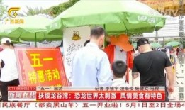 广西最新爆料新闻视频,神秘事件视频引发热议，真相即将揭晓