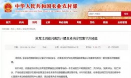 连云港爆料贴吧最新消息,最新动态揭秘！